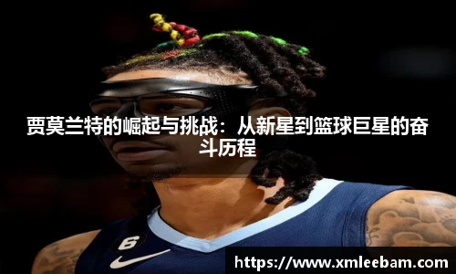 MILE米乐官方网站
